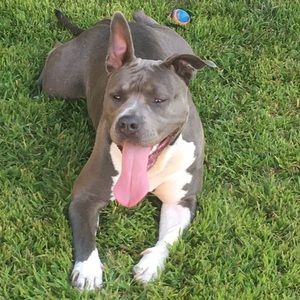 Meet your Posher, Jose